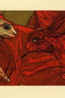 American Literary Review
