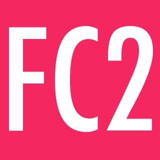 Fiction Collective Two cover