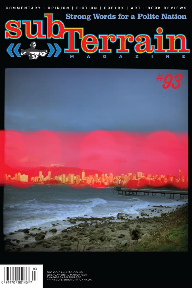 subTerrain latest issue