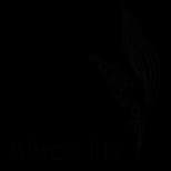 Black Lily