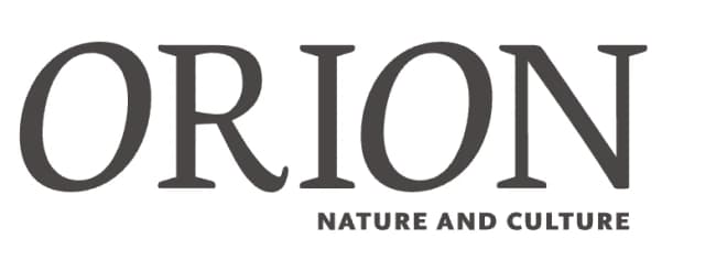 Orion