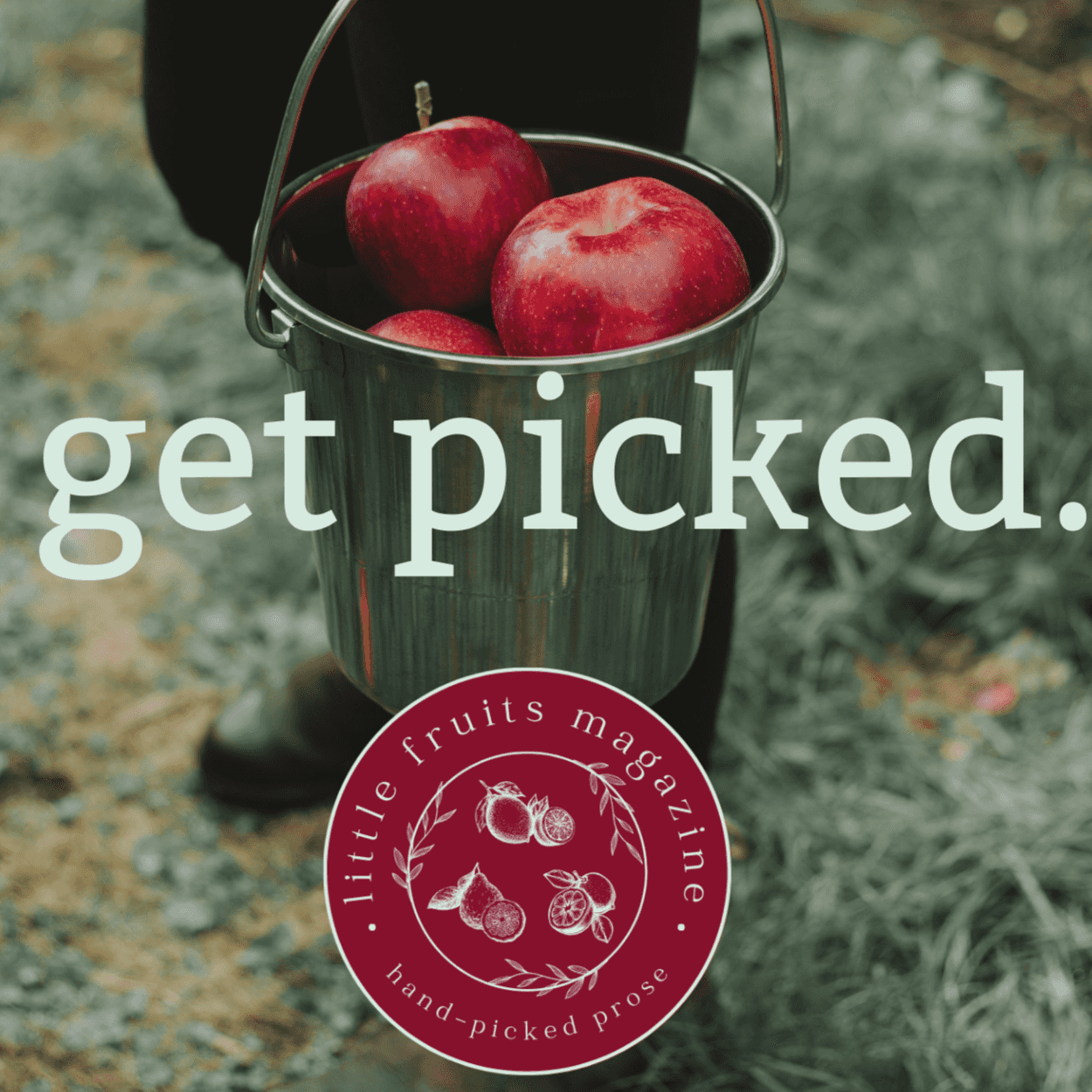 Logo of Little Fruits Magazine literary magazine