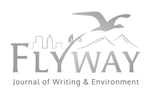 Flyway